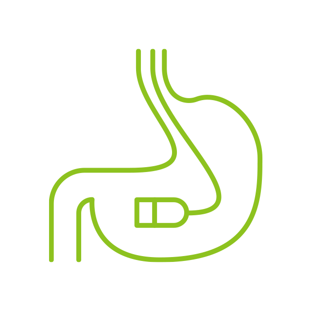 内視鏡検査（胃カメラ・大腸カメラ）